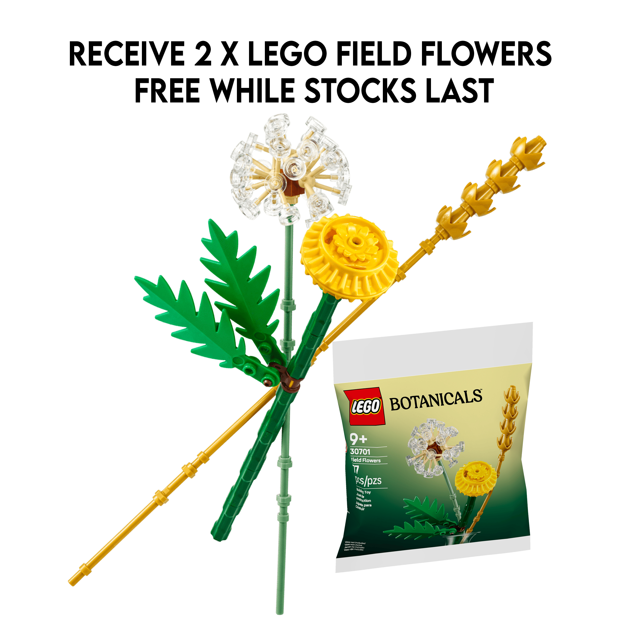 LEGO: Botanicals - Petite Sunny Bouquet (10347) | KOODOO