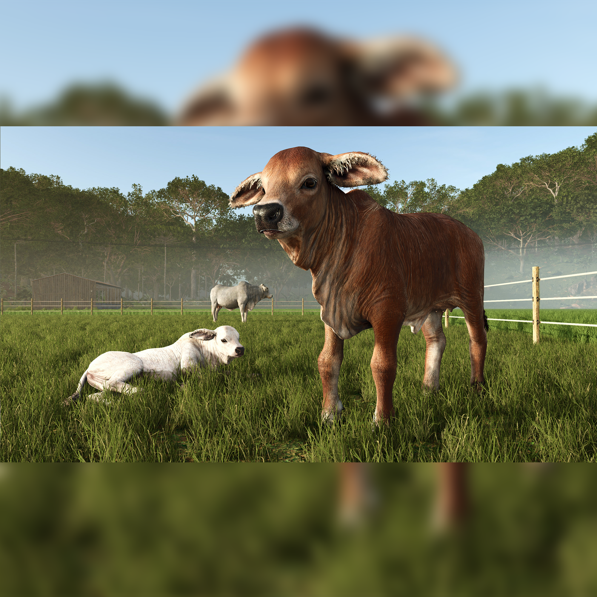 Farming Simulator 25: Beans & Alpacas Edition - KOODOO
