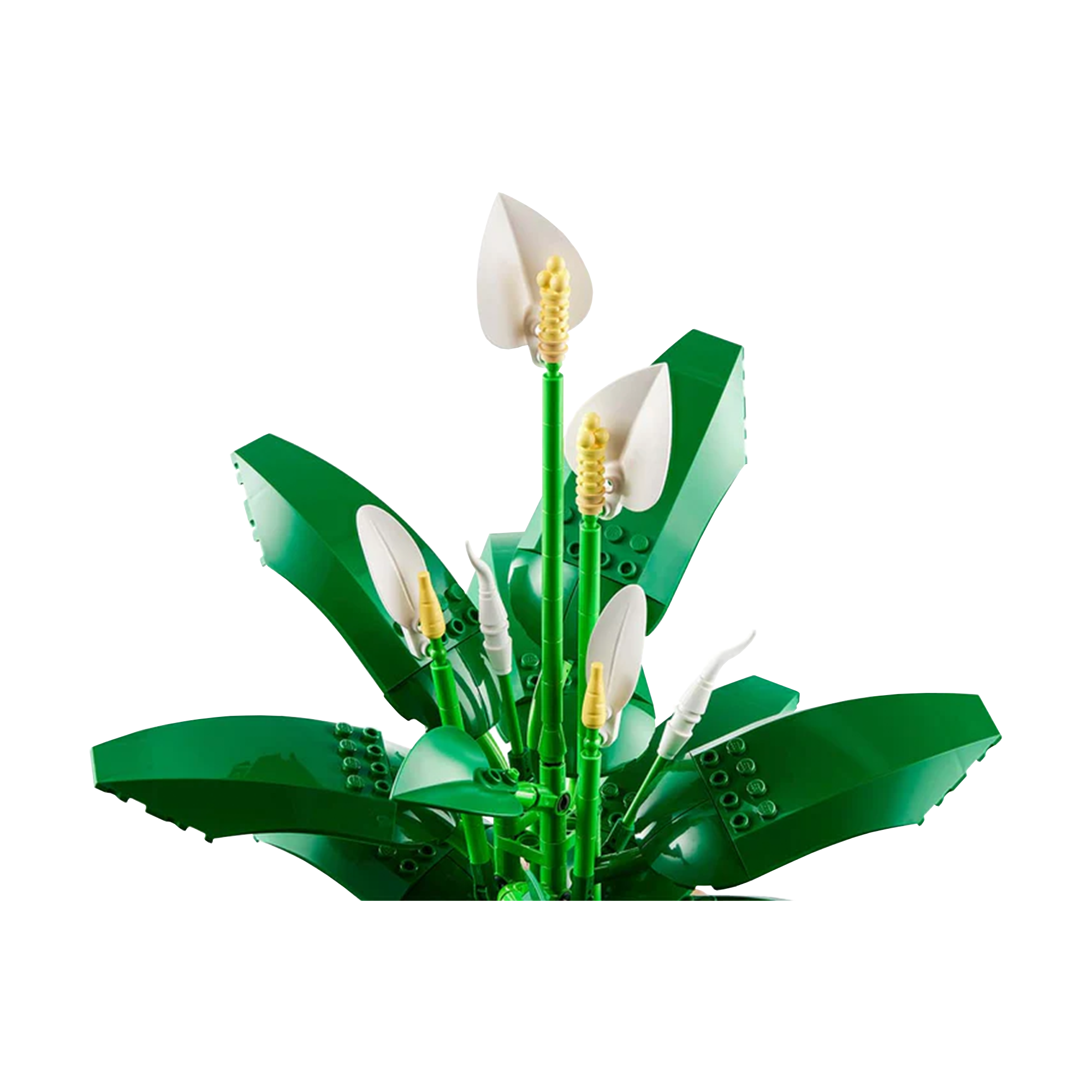 LEGO: Botanicals - Peace Lily (11504) - KOODOO