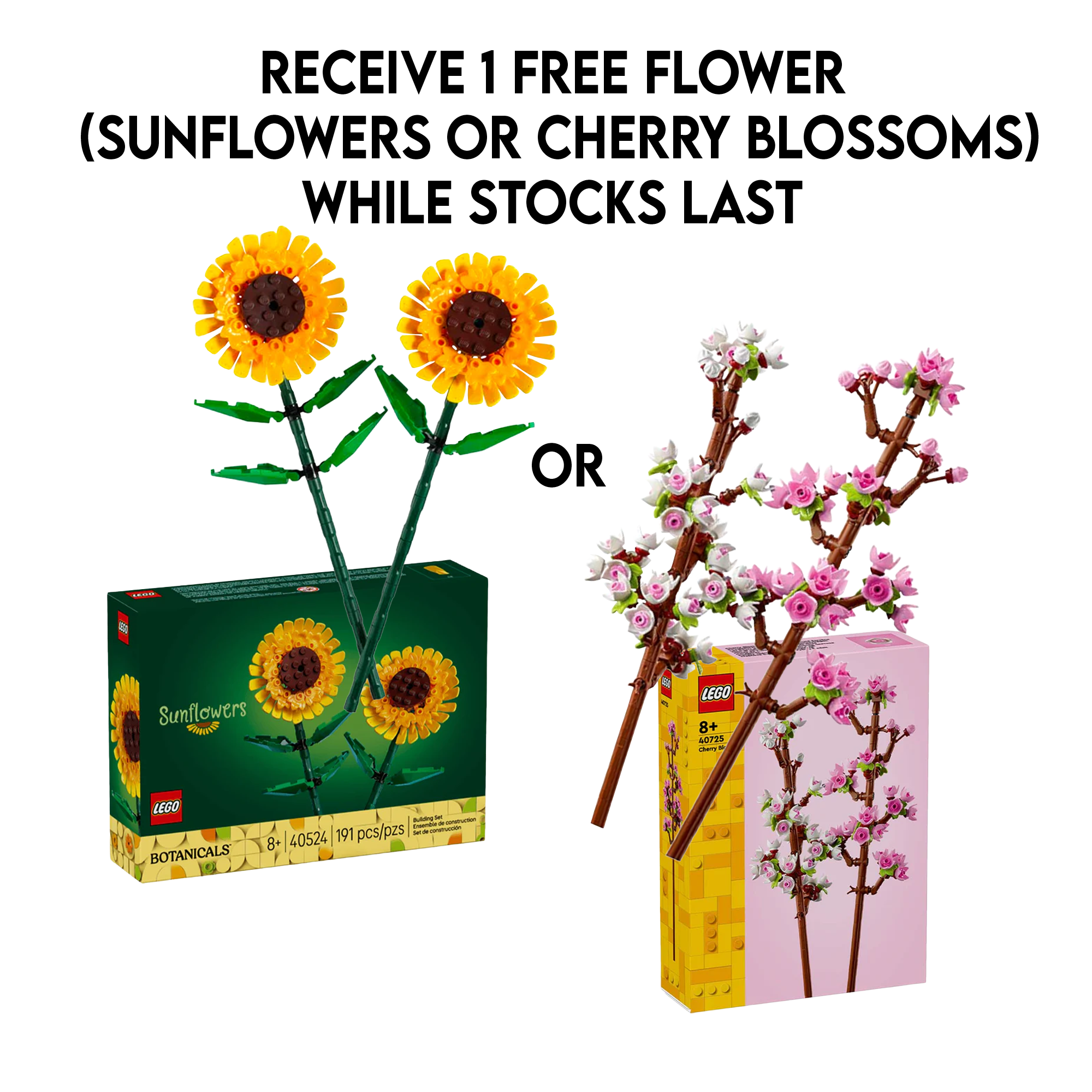 LEGO: Botanicals - Magnolia Branches (11510) | KOODOO