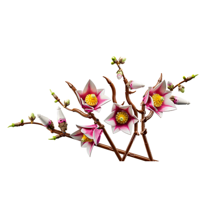 LEGO: Botanicals - Magnolia Branches (11510) - KOODOO