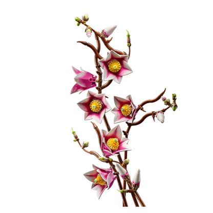 LEGO: Botanicals - Magnolia Branches (11510) - KOODOO