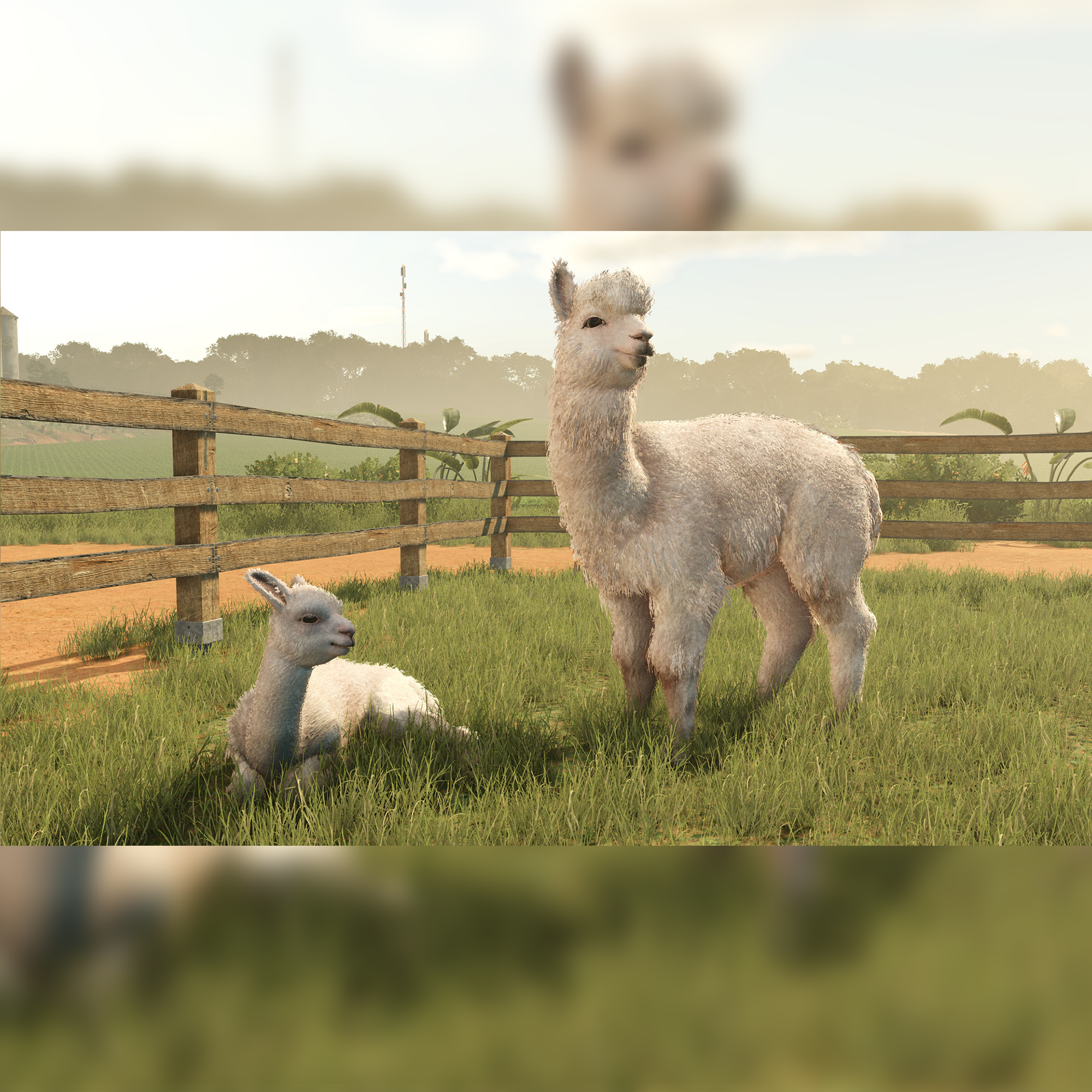 Farming Simulator 25:  Beans & Alpacas Edition - KOODOO