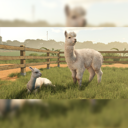 Farming Simulator 25:  Beans & Alpacas Edition - KOODOO