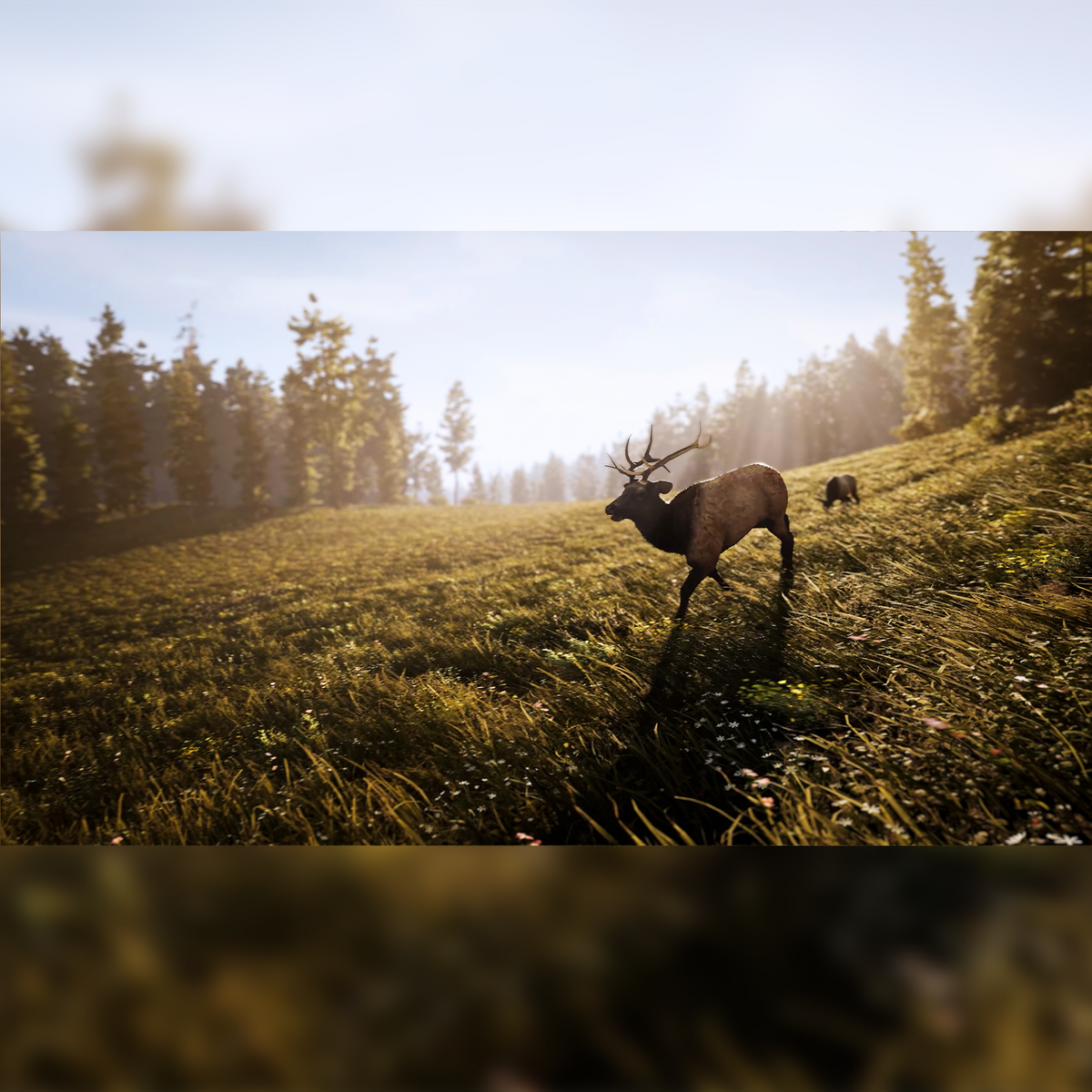 Hunting Simulator 3 (PS5) - KOODOO