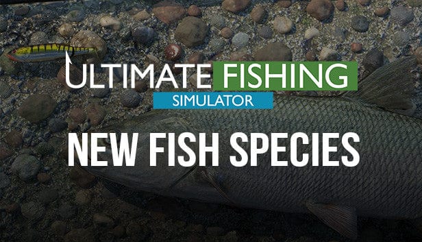 Ultimate Fishing Simulator - New Fish Species | KOODOO