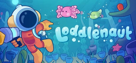 Loddlenaut | KOODOO